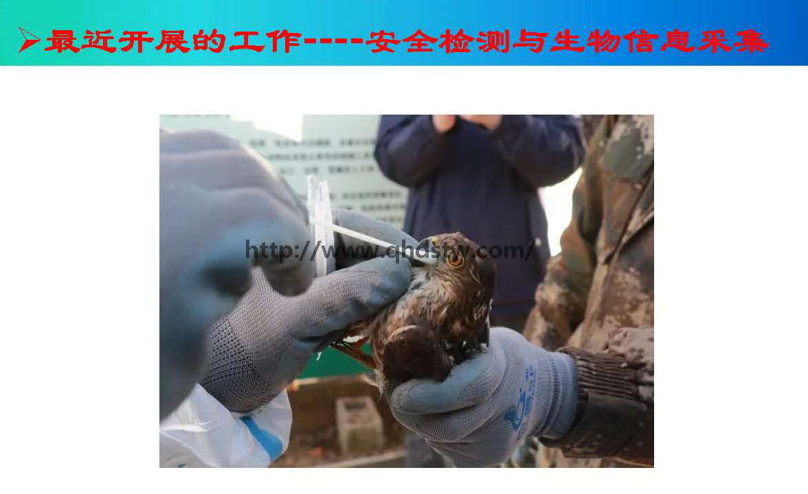 秦皇岛市野生鸟类疫病监测和防控生物安全重点实验室简介